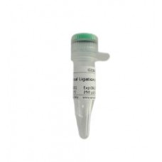 2x Universal Ligation Mix - 50T