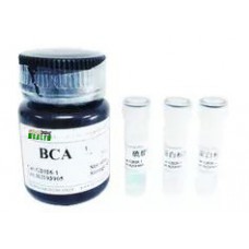 BCA Protein Detection Kit (200T)