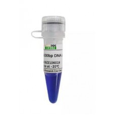 DNA Ladder (100-5000 bp; 14 Bands)