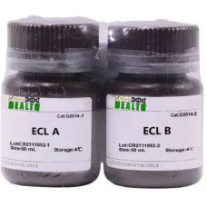 ECL chemiluminescence Kit