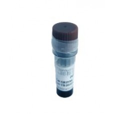 Alexa Fluor® 488-conjugated Goat Anti-Mouse IgG (H+L)