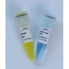 qPCR Master Mix (2X)  (Hot Start)