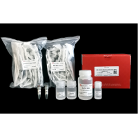 RNA Extraction Kit (Spin Column Based)