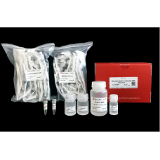 RNA Extraction Kit (Spin Column Based)