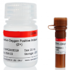 Reactive Oxygen Species Assay Kit [DCFH-DA Probe]