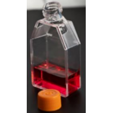 T25 Cell Culture Flask (TC-Treated)