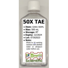 TAE Buffer Solution