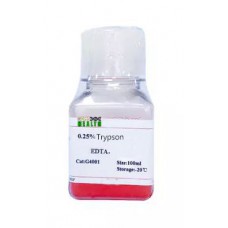 Trypsin EDTA (0.05%)