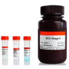 Bradford Protein Assay Kit