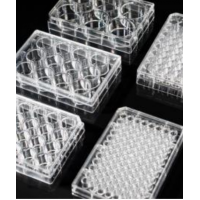 Cell Culture Plate - 96-Well - Flat Bottom - TC Treated