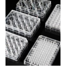 Cell Culture Plate - 12-Well