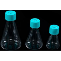 125 mL Erlenmeyer Flask 