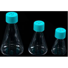 125 mL Erlenmeyer Flask 