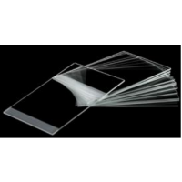 Adhesive Glass Slides - Frozen