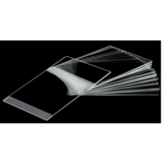 Adhesive Glass Slides - Frozen