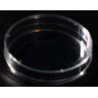 10cm Cell Culture  Plates - TC-Treated