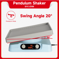 Pendulum Shaker 