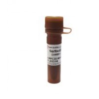 Ser-Red Nucleic Acid Gel Stain (10000x)
